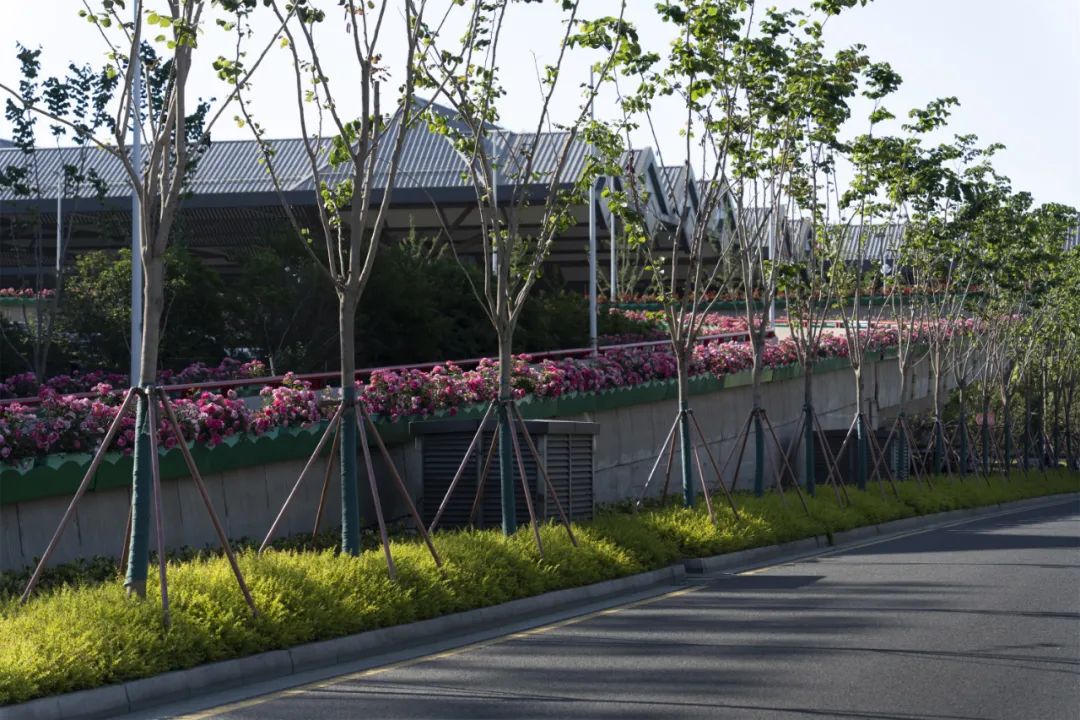 公园城市,苏州火车站震撼升级丨中国苏州丨筑园景观-35