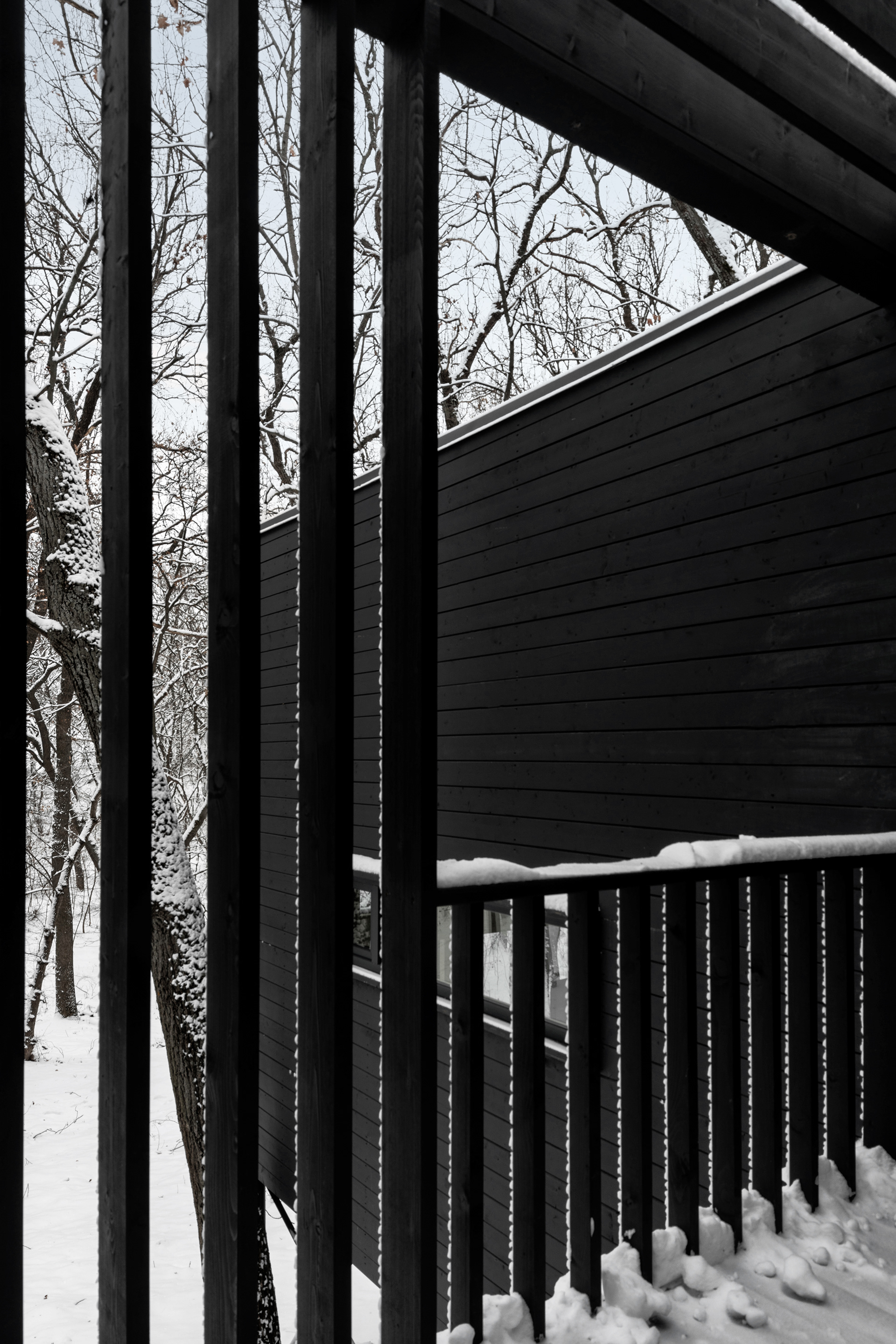 Турбаха ХОЛМ, SAAS Architects, 2025-17