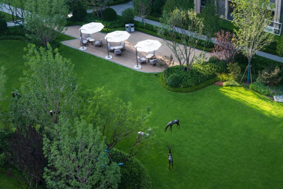 威海金猴龙湖·春江天境住宅景观丨中国威海-22