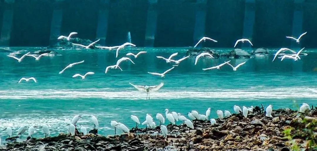 古村落新生 · 传统与现代的共生丨中国-53