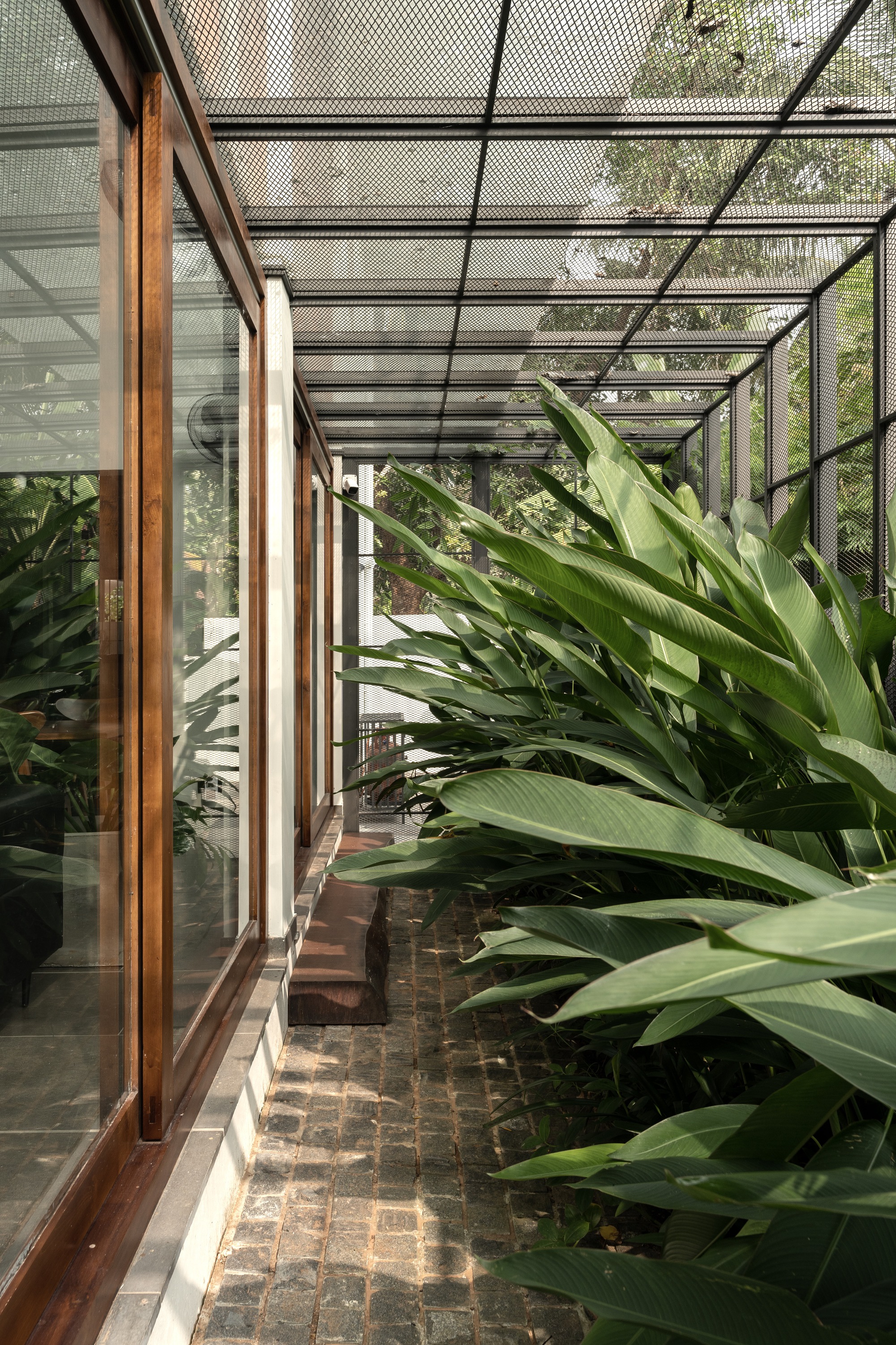 丨印度丨TROPICAL TONES-17