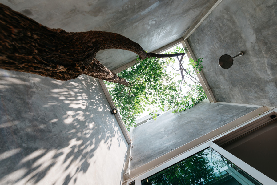 แบบบ้านตู้คอนเทนเนอร์ เปลี่ยนตู้ 15 ใบ เป็นบ้าน 1 หลังใหญ่ กับอีก 1 หลังน้อย-7