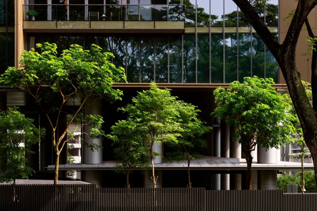 SCDAArchitects|CuscadenReserve：于热带于都市，诠释包豪斯精神-35