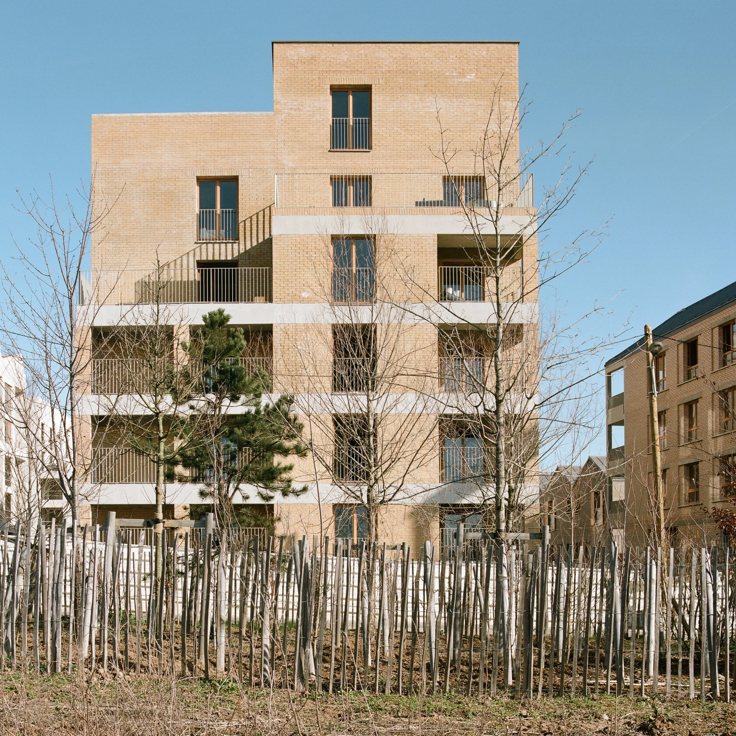 蒙让，龙吉斯·帕拉斯塔-35