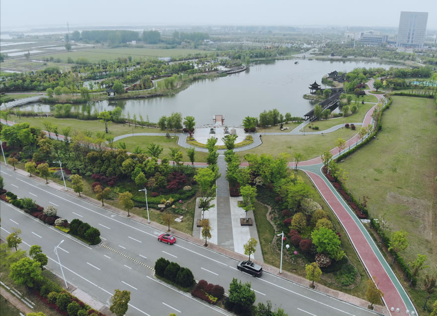 泰兴市虹桥镇虹润湿地公园-11