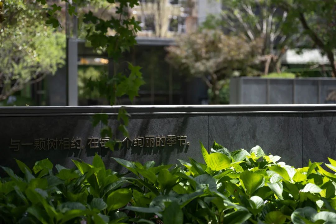 山海之间 定制时光丨大连中海叁號院 · 广贤-72