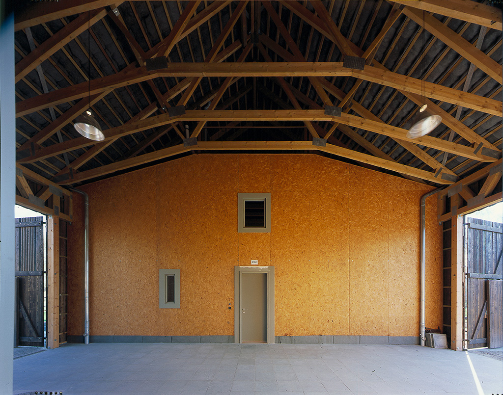 丨文本未提及-6