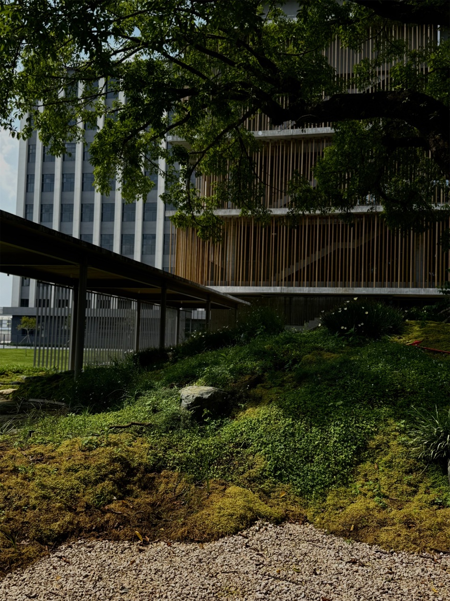 宝华智造产业园丨中国佛山丨成都无囿景观设计有限公司,佛山至岸园林-16