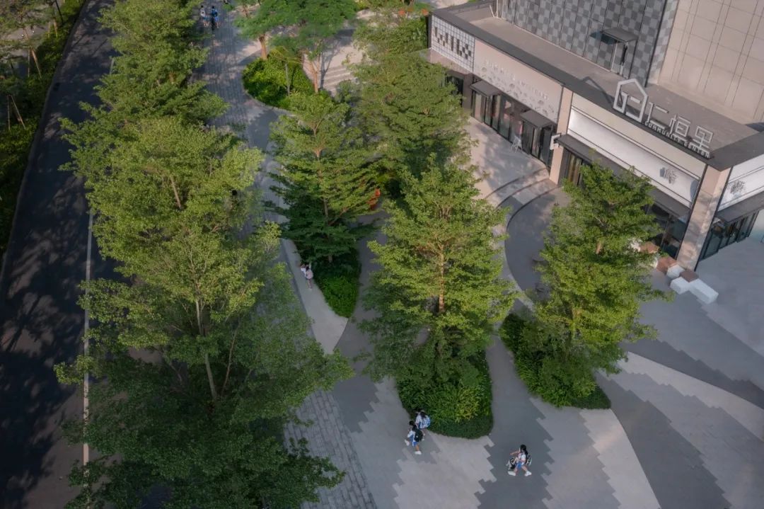 仁恒深圳公园世纪三期丨中国深圳丨TROP景观事务所-35