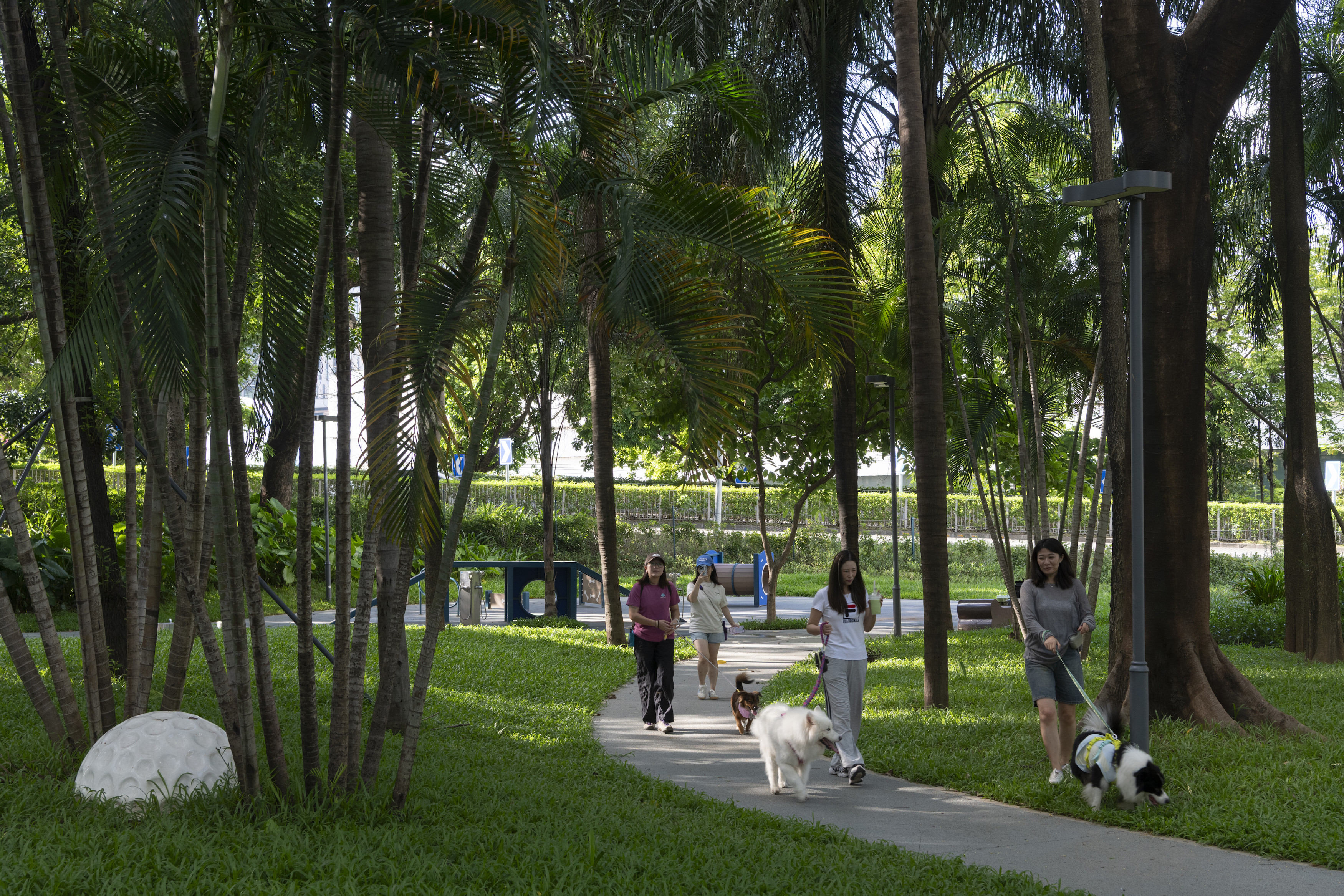 深圳市罗湖泥岗东路宠物友好口袋公园丨中国深圳丨深圳市未名设计顾问有限公司罗湖分公司(WMLA)-47