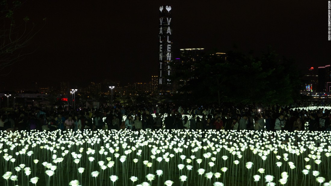 Light Rose Garden HK 玫瑰灯海园 – 香港站-20