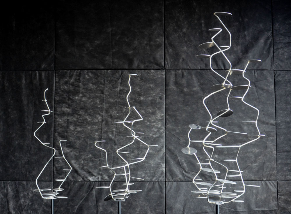 Biota | David Friml-36