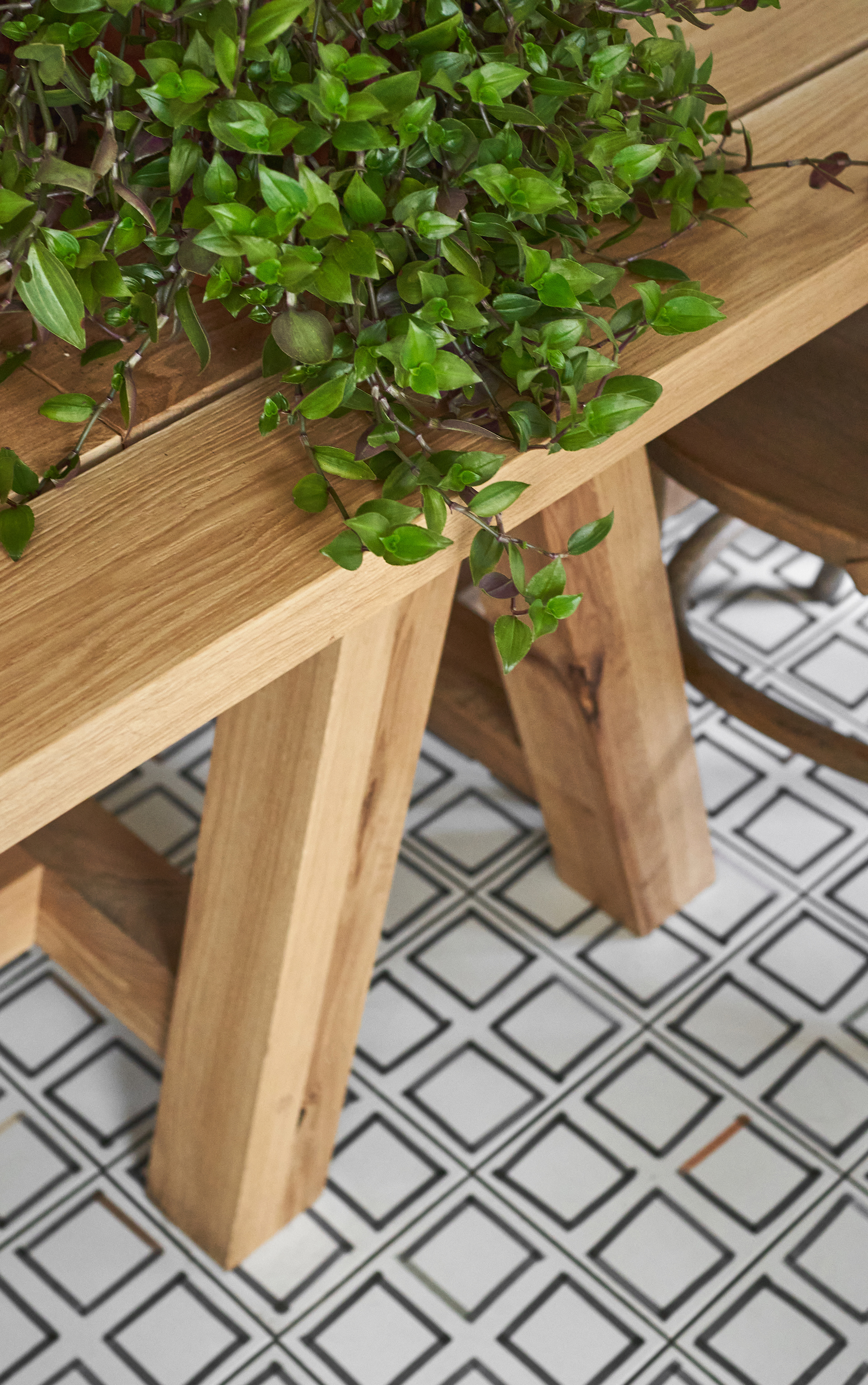 动物弹出窗口丨俄罗斯圣彼得堡丨DA Bureau-8