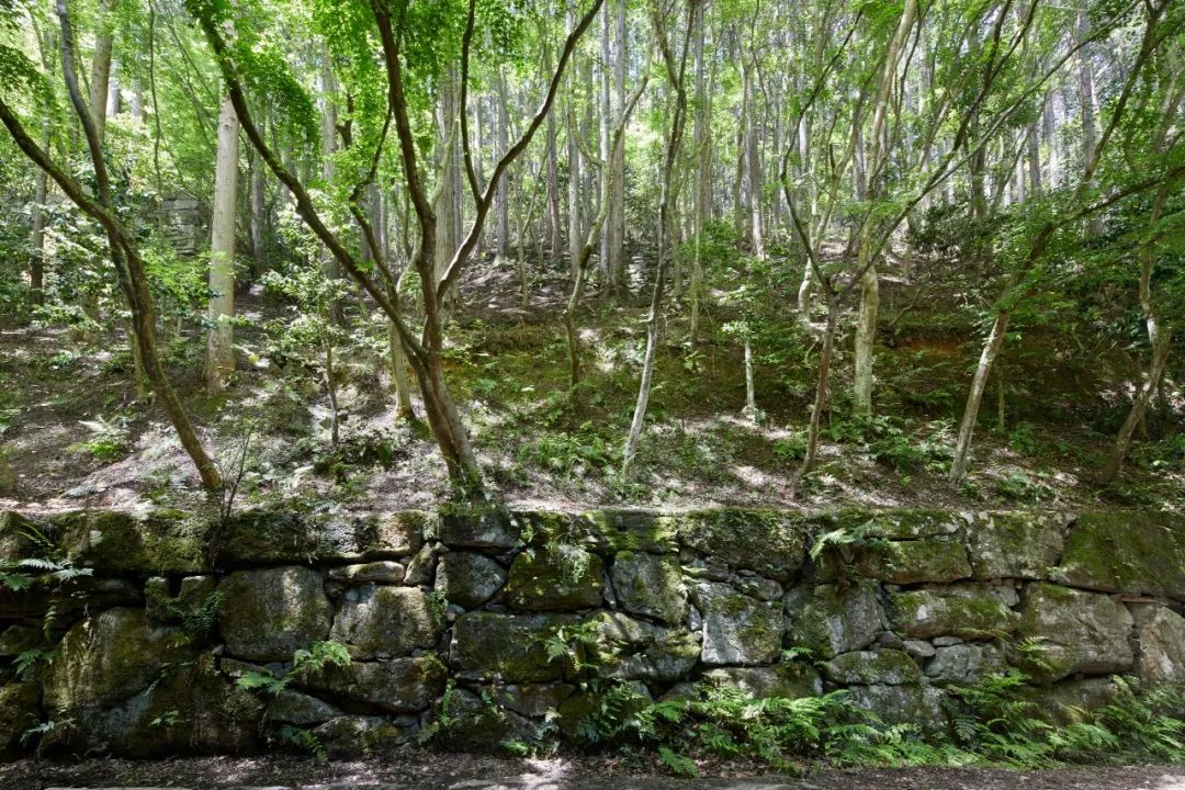 【顶级大师Kerry Hill遗作】日本京都安缦度假酒店即将2019年11月1日开幕!-41