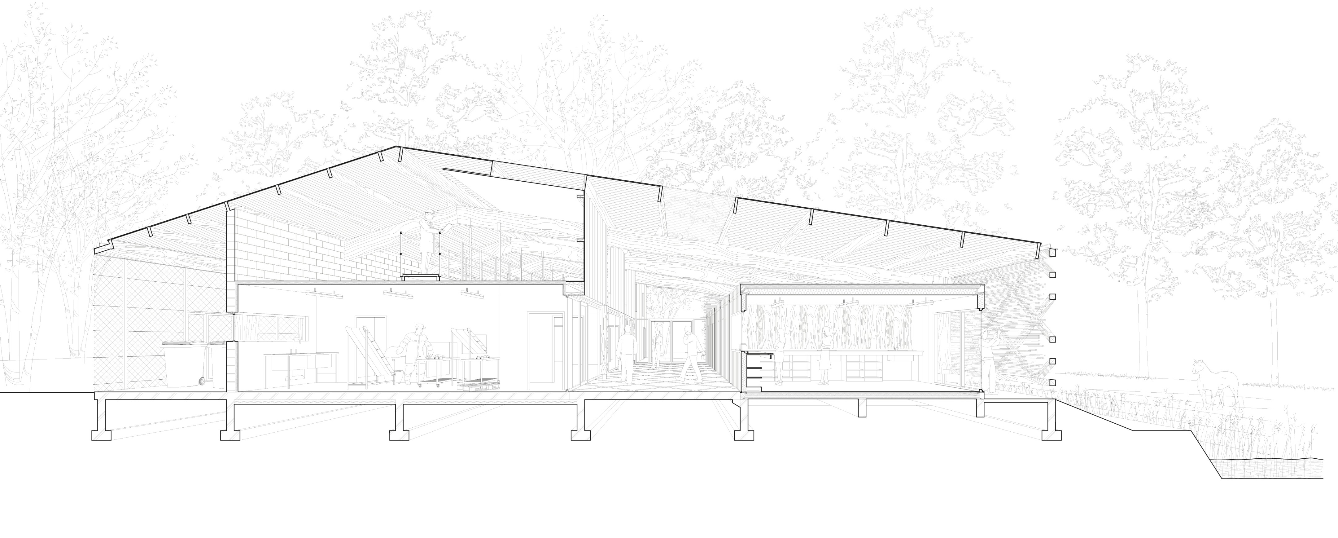 校园绿意 · 蔬菜加工车间与教学结合的设计-80