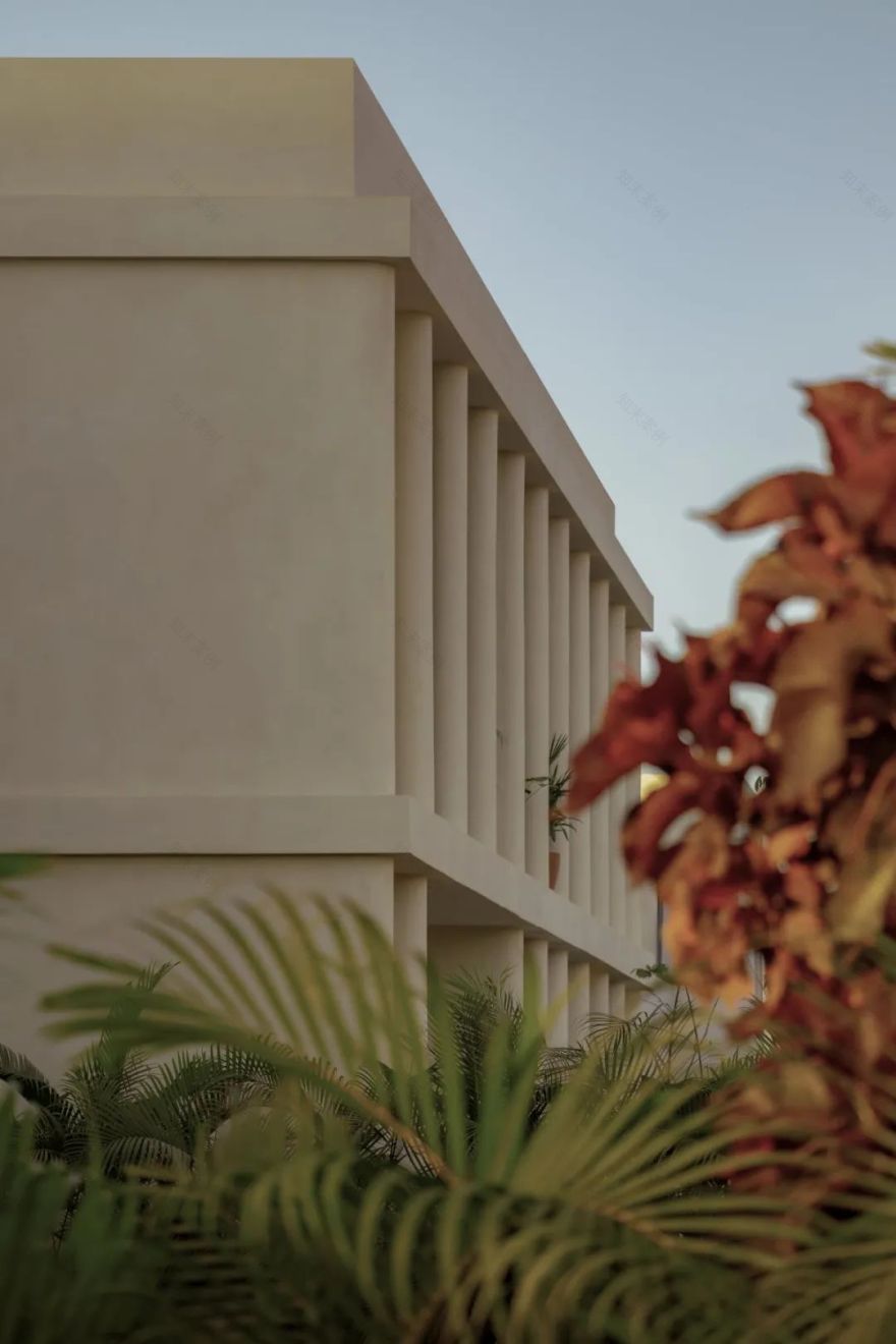 墨西哥海边亲生物住宅 · Casa Los Tigres House-10