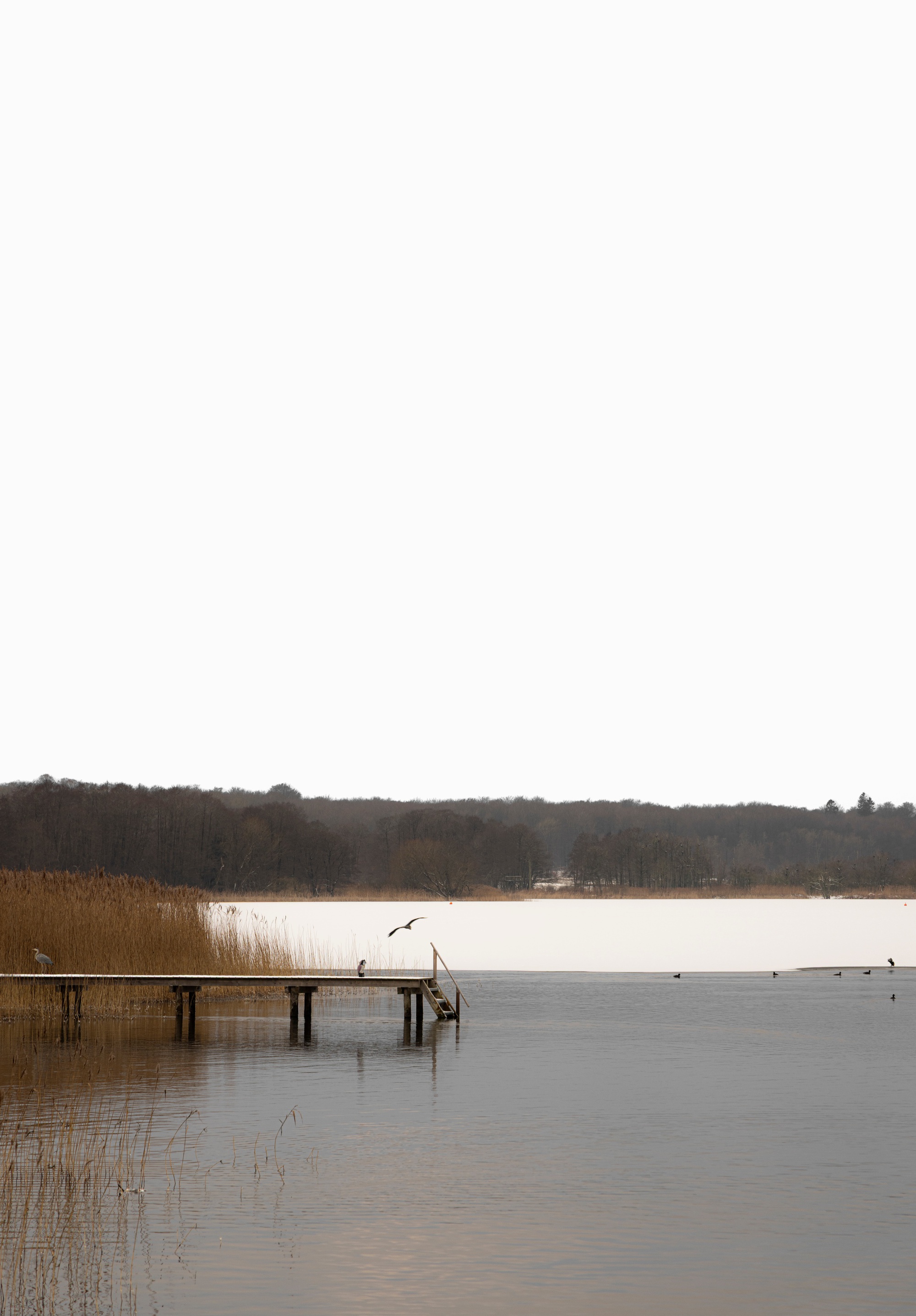 湖滨谷仓屋丨丹麦丨NORM Architects-20