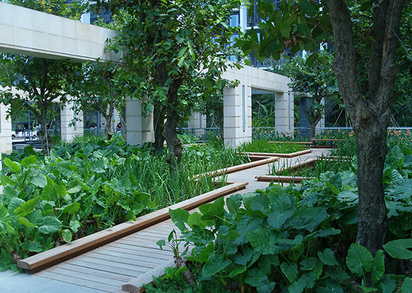 CITIC Mangrove Bay, Shenzhen - Residence - L&A GROUP | To Create a Better Environment-7