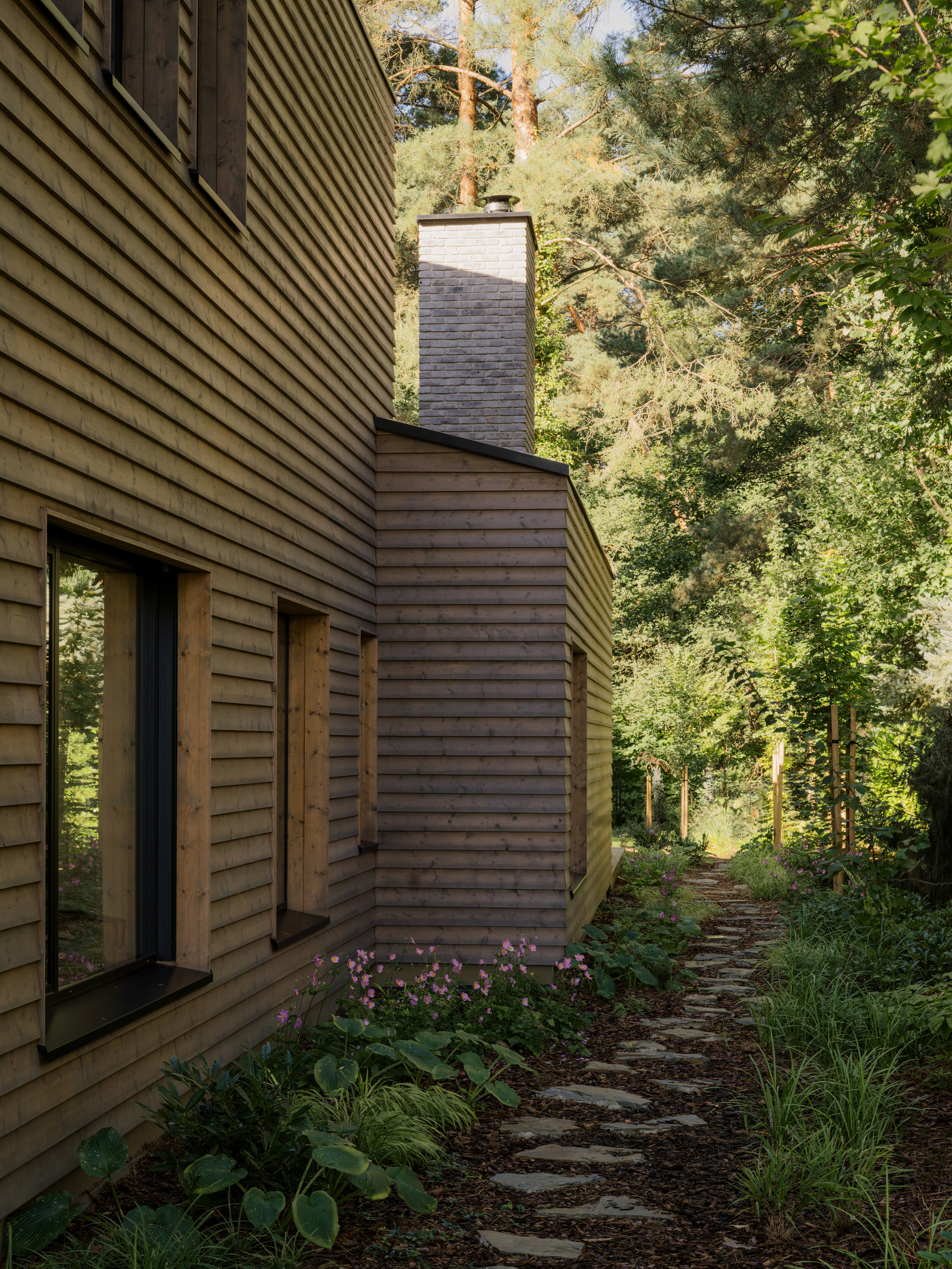 Residence on the Edge of National Forest / Studio GAB-12