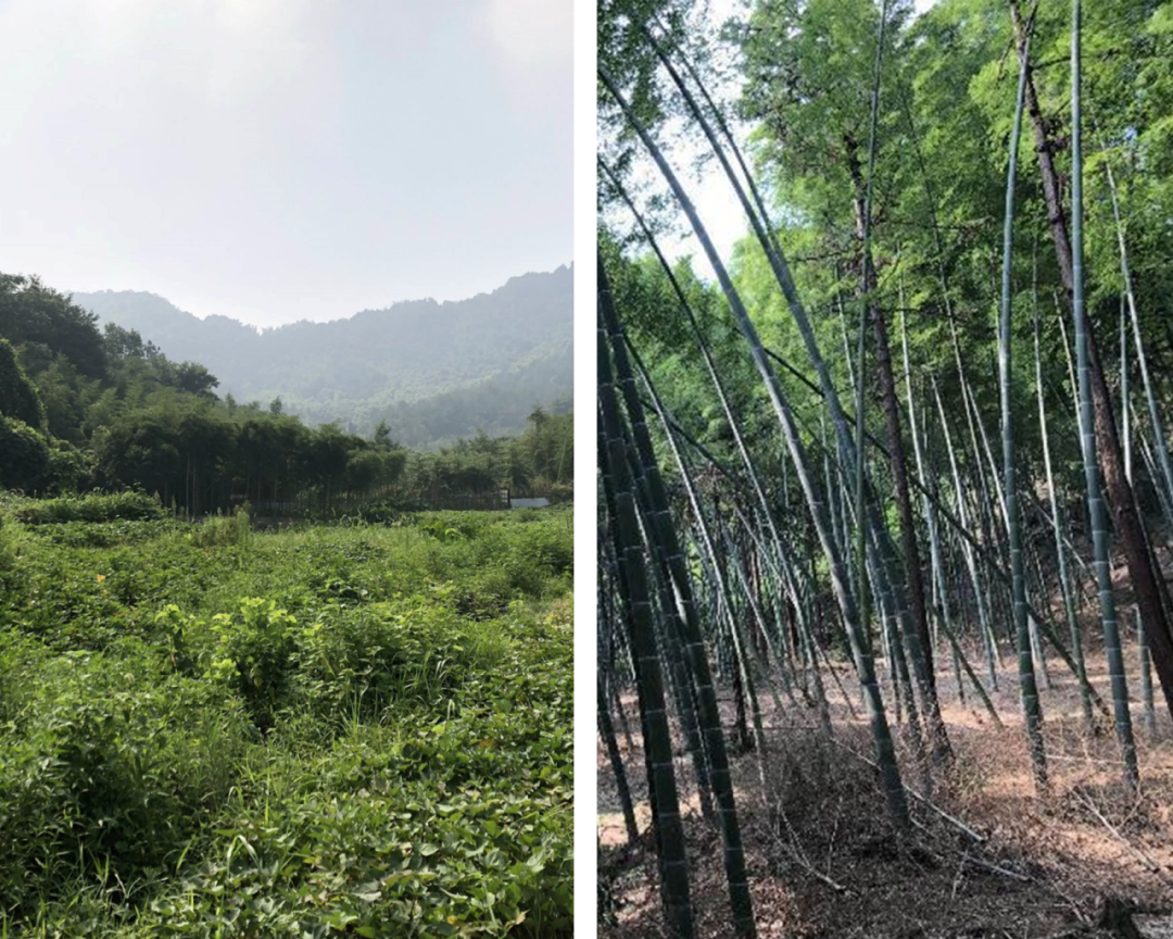 中国铁建滨江 • 莫干山语丨中国湖州丨上海日清建筑设计有限公司-7