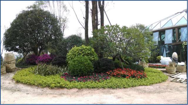 绿化设计中的地被放线手法与植物配置-112