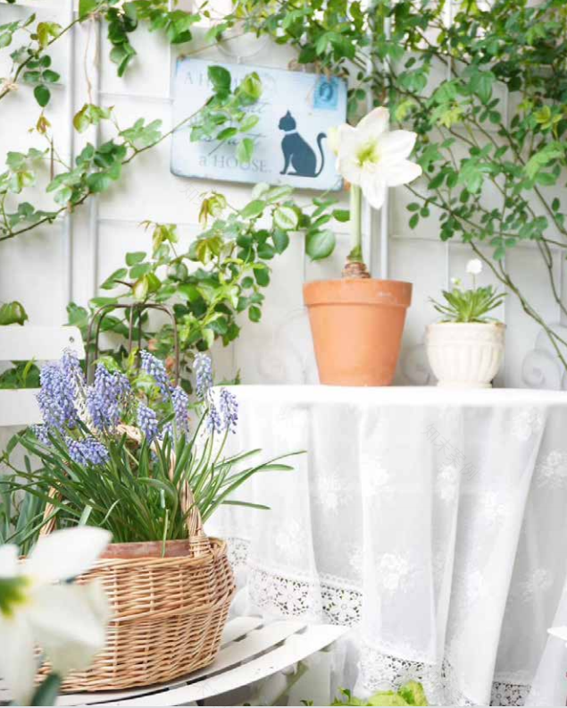 阳台花园改造记丨中国杭州丨哓气婆-24