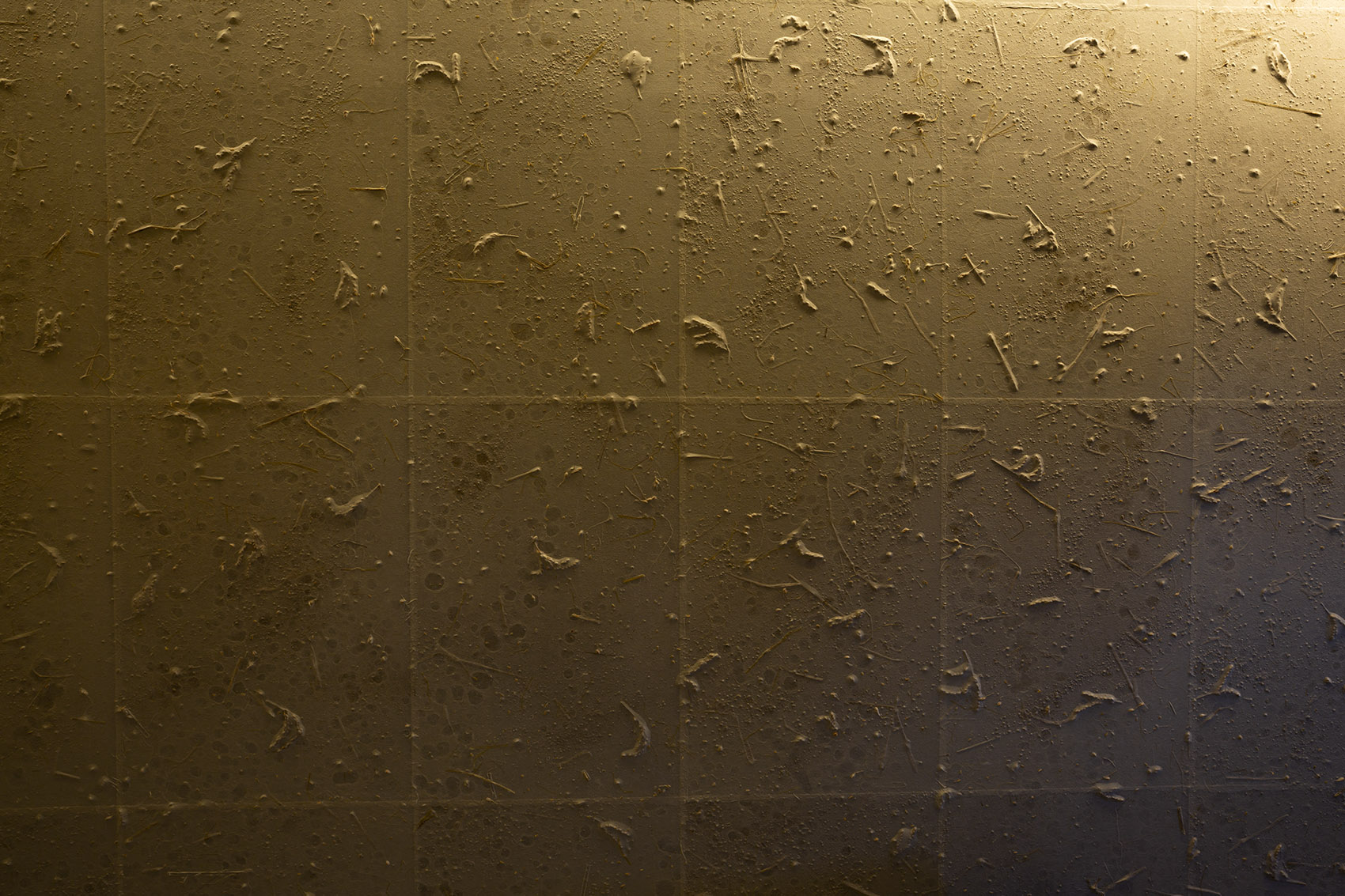 KURA 清酒酿酒厂丨日本富山丨隈研吾建筑都市设计事务所-42