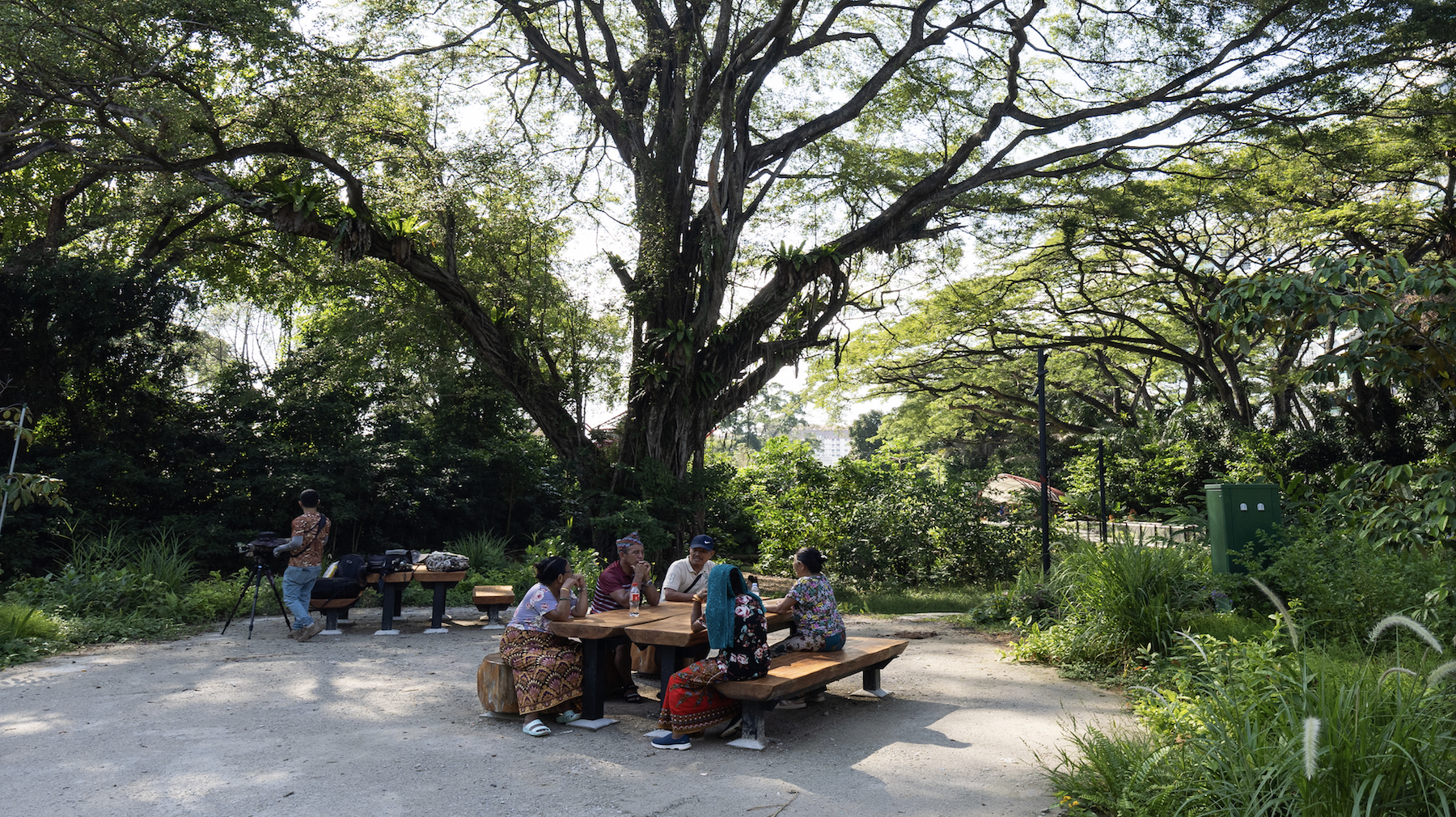 比达达利公园丨新加坡-56