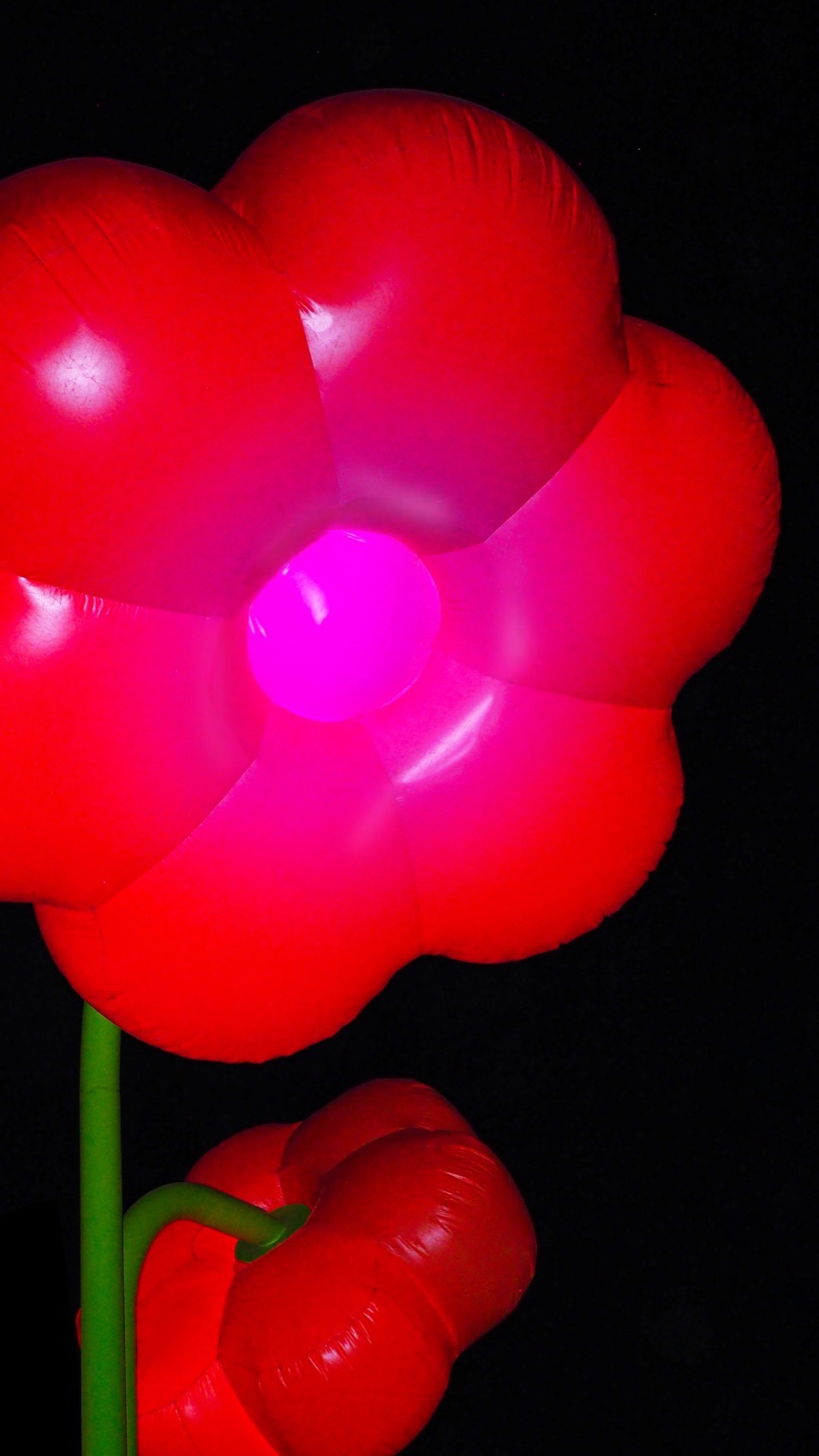 2025年科切拉艺术计划丨Public Art Company（PAC）等多位艺术家-131