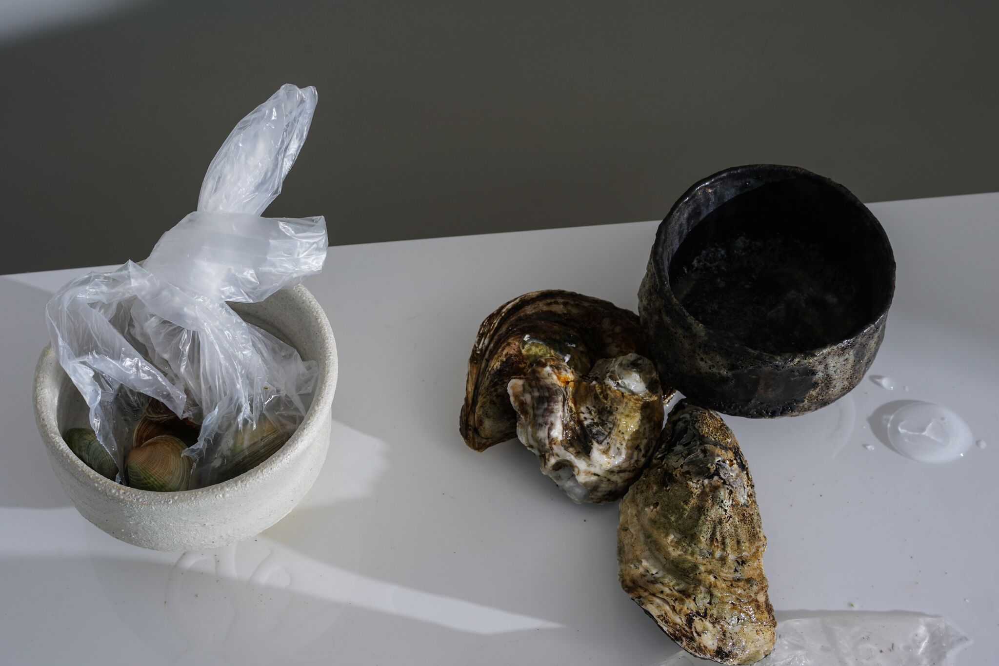 Returning to the Earth for Answers ⏤ In Interview With Alana Wilson and Romy Northover — anniversary magazine-6