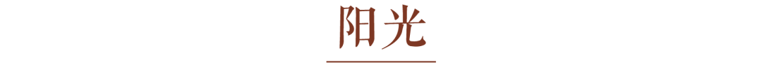 德巴图书馆丨中国四川丨江苏中锐华东建筑设计研究院有限公司荣朝晖工作室-67