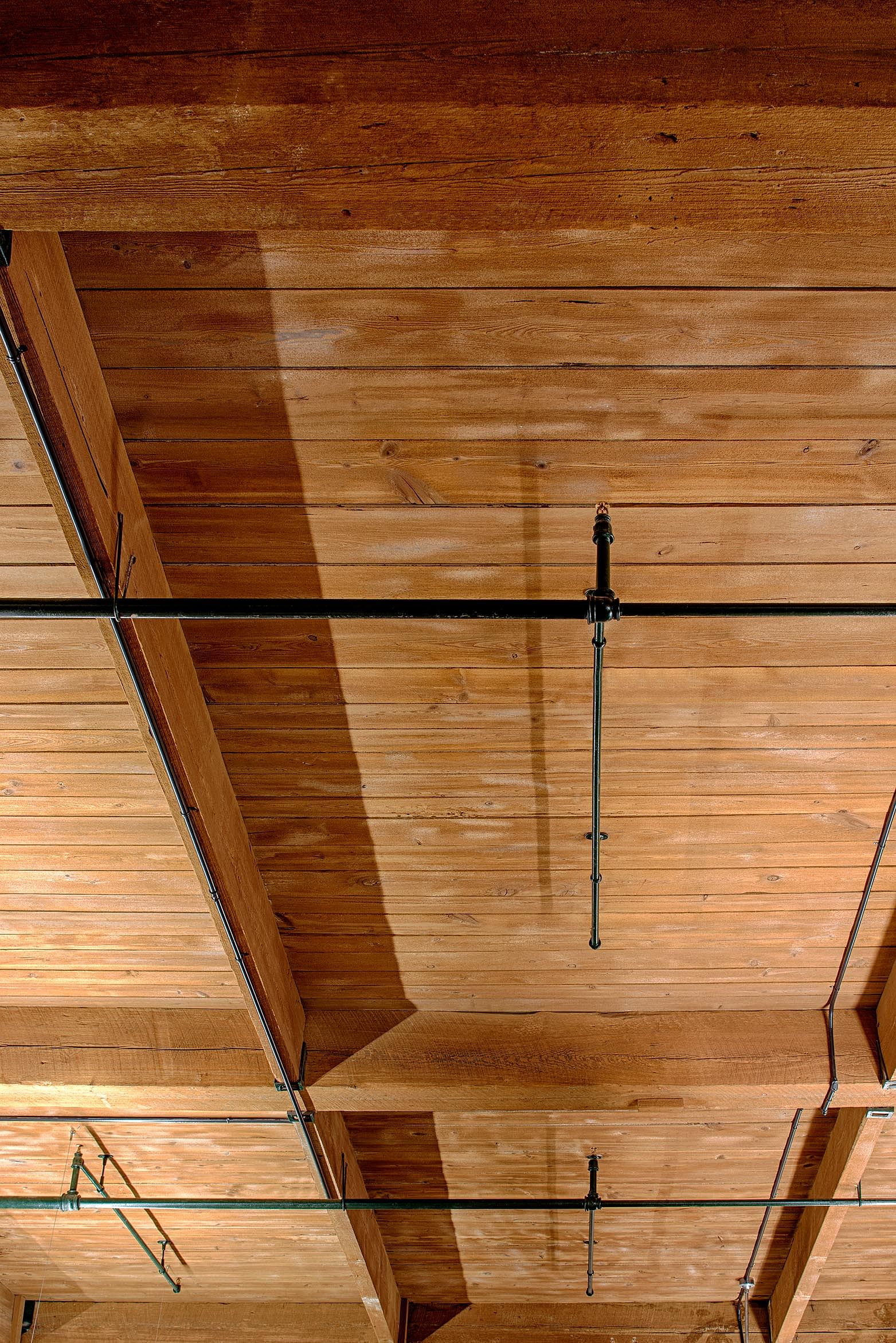 Weleda北美总部室内设计丨美国奥斯汀丨Specht Harpman-19