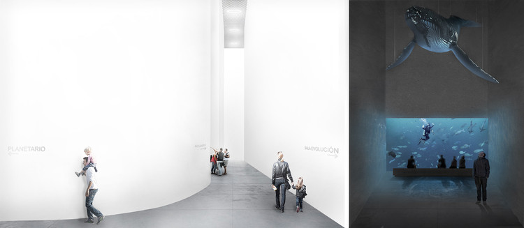 智利国际南极中心竞赛二等奖项目丨Albert Tidy Arquitectos-16