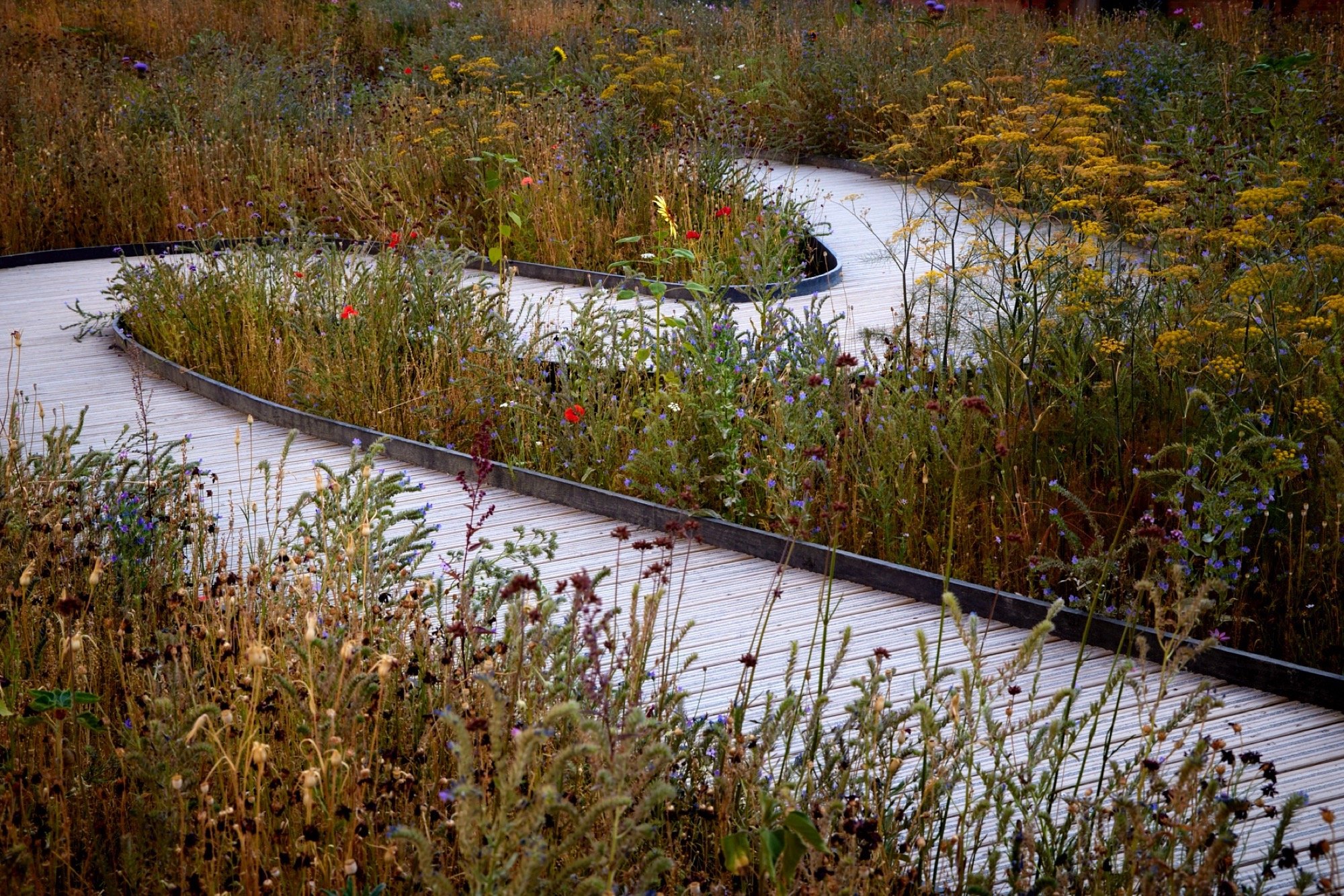 英国超级布鲁姆活动丨英国伦敦-6