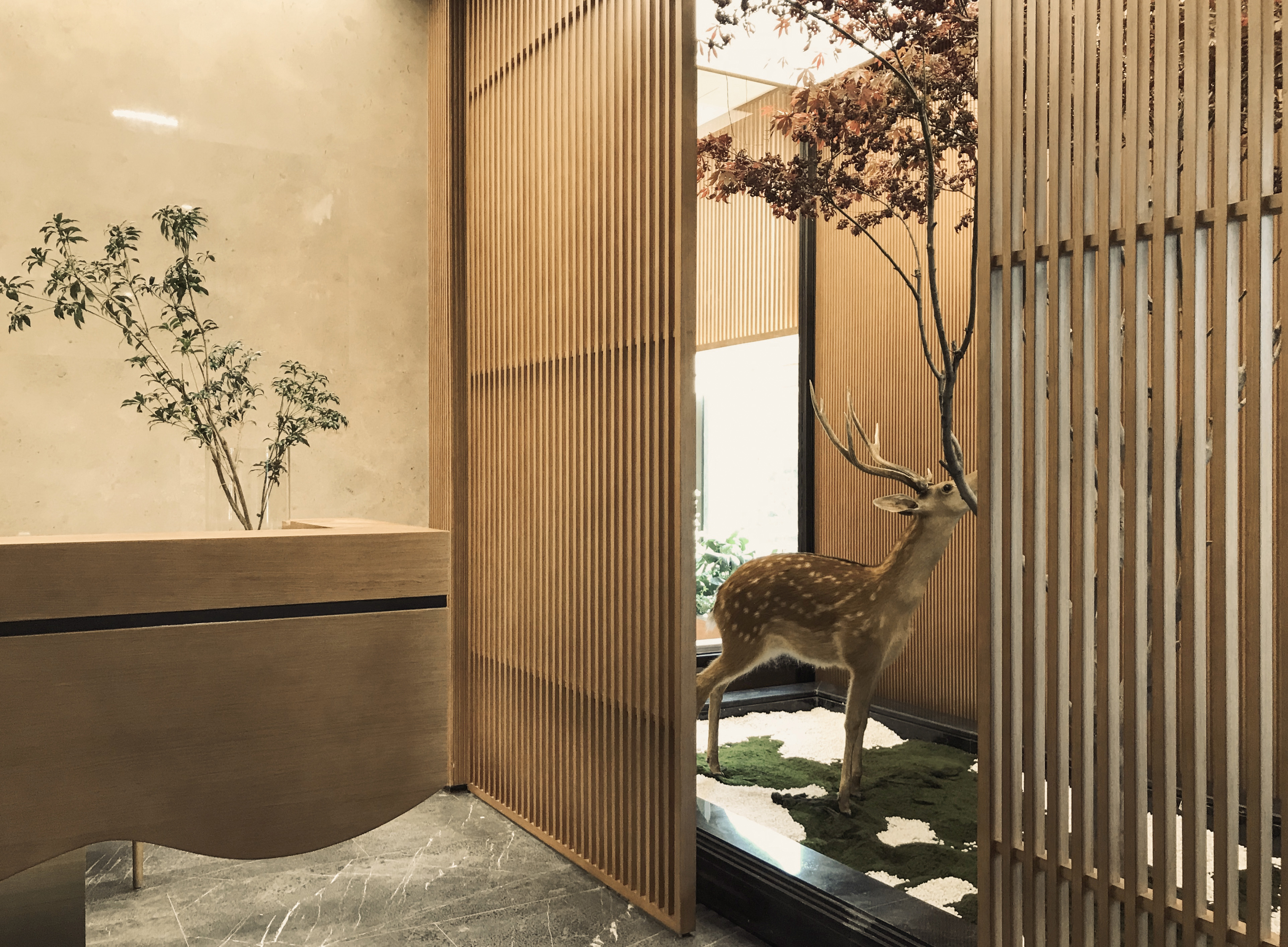 《门前》顾城· 自然光影的室内设计艺术-5