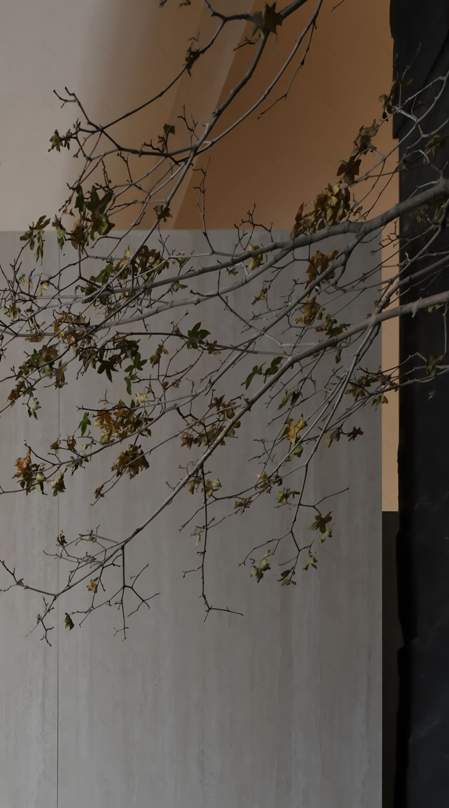 LPG纤体美容抗衰中心丨中国惠州丨土禾空间设计事务所-9