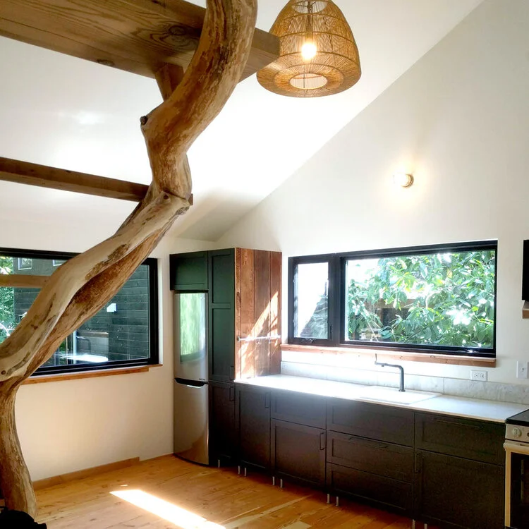 这里ST ADU可能是专业术语难以准确翻译，在缺乏确切背景信息的情况下，暂时无法提供准确翻译 丨美国波特兰丨Polyphon Architecture & Design,LLC-15