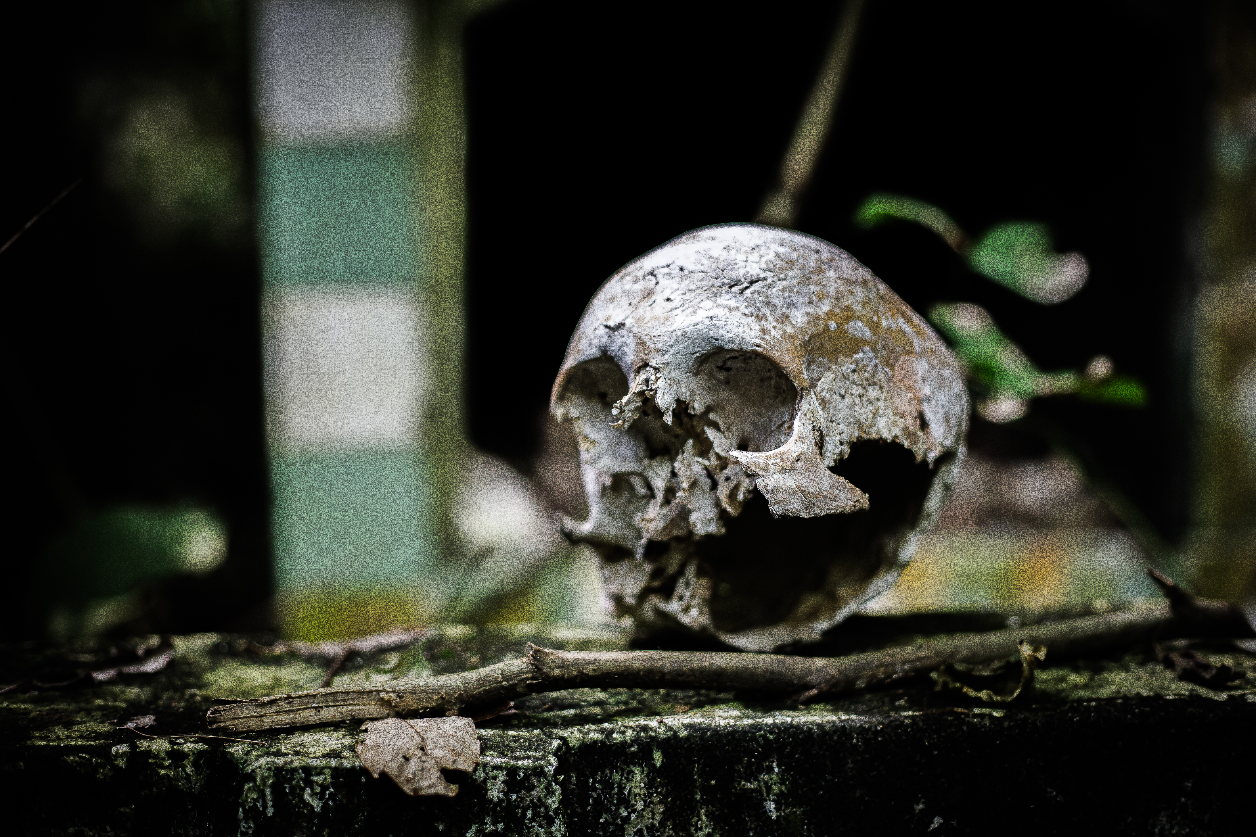 LA BELLEZA CONTRA LA INFAMIA-3