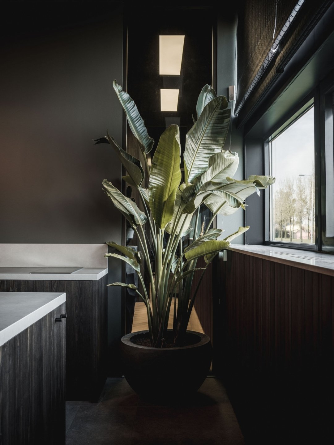 丨荷兰鹿特丹-31