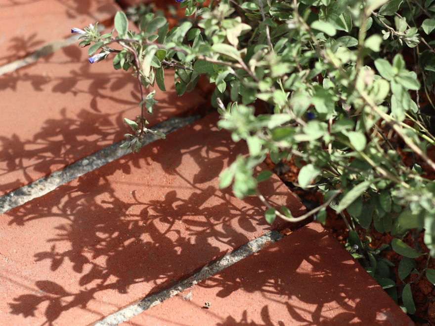 深圳鲸山别墅社区共建花园丨中国深圳丨哈尔滨工业大学(深圳)建筑学院公共空间实验室-15