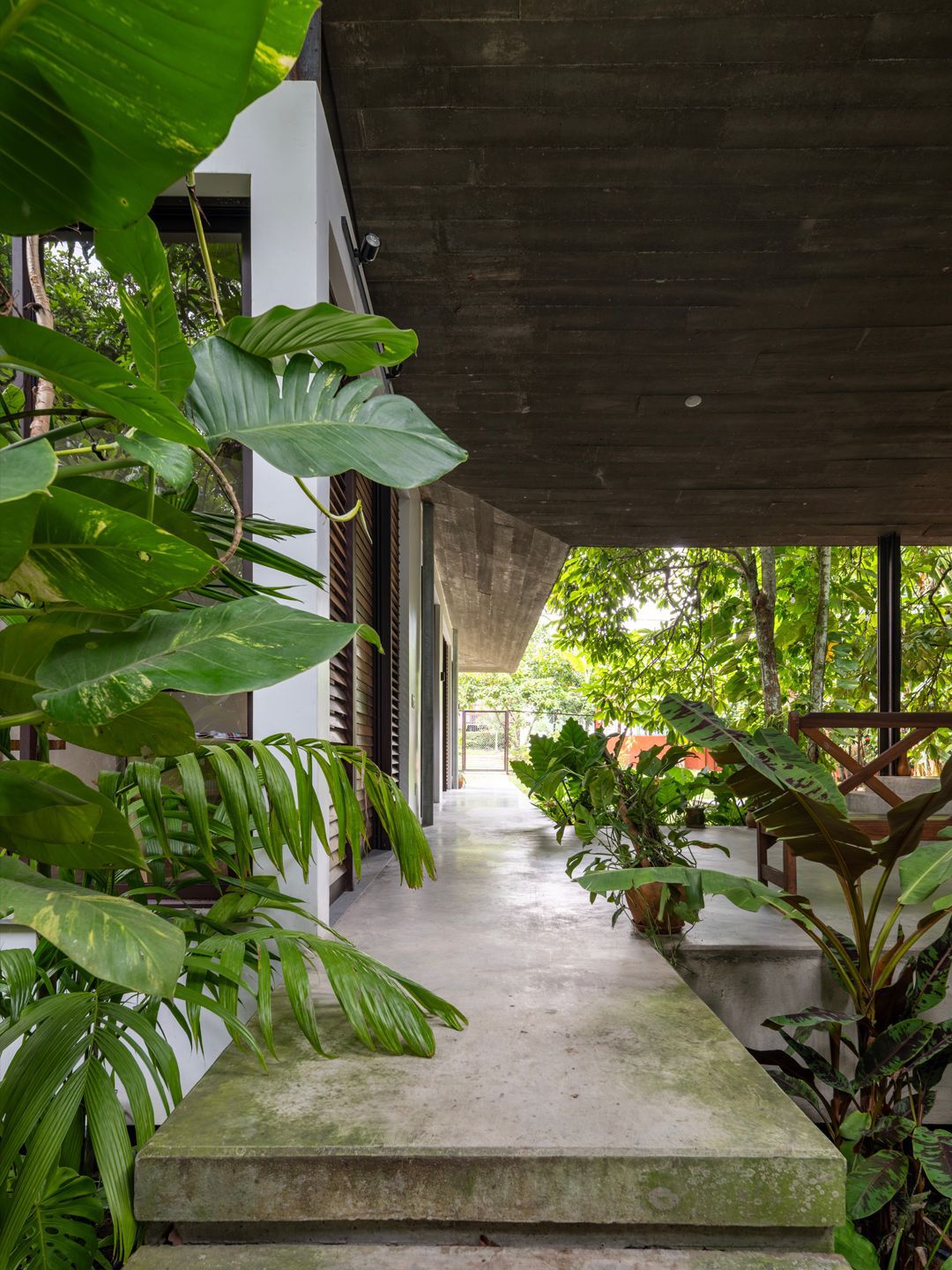 丨巴西丨Laurent Troost Architectures-31