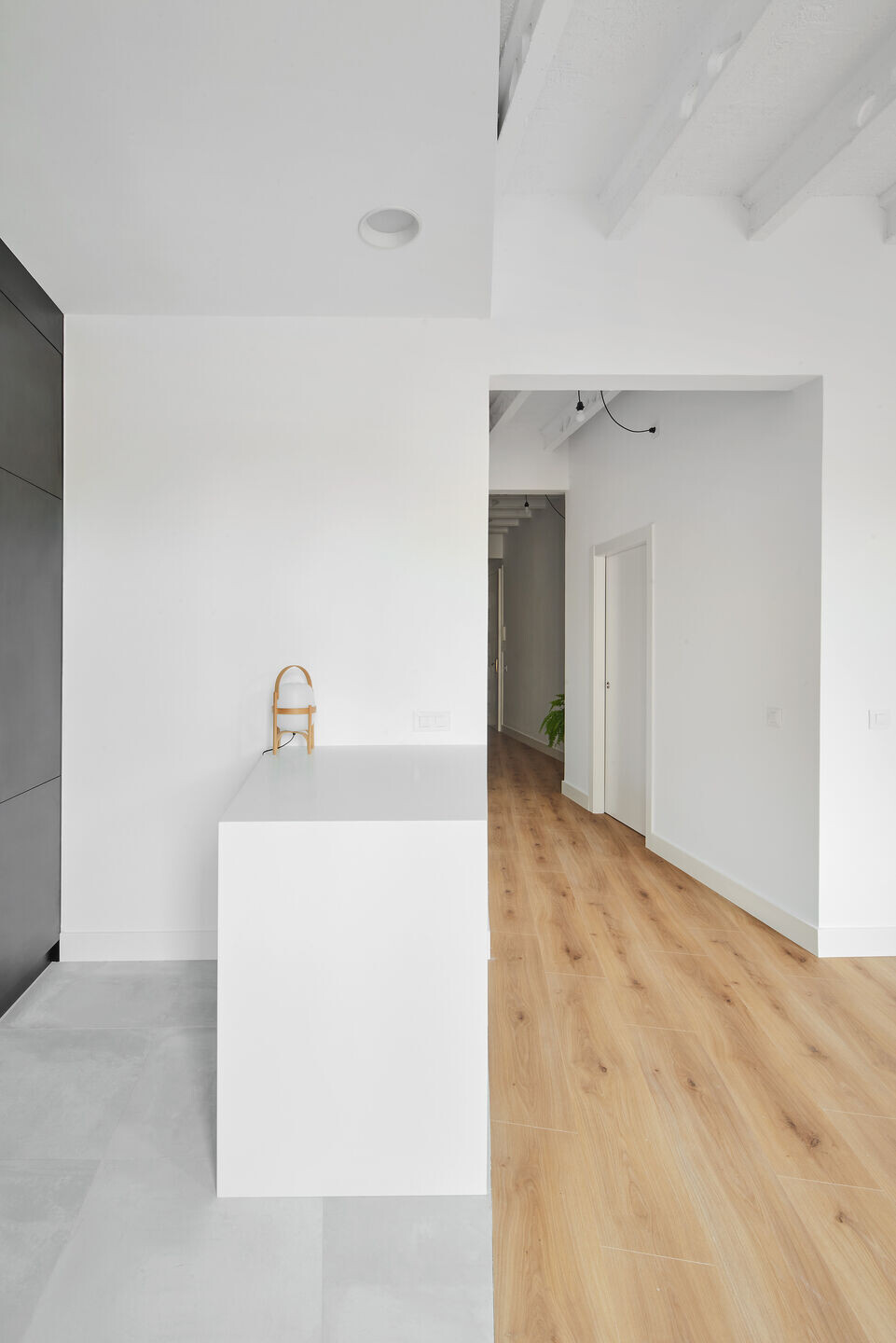 巴塞罗那二层公寓的翻新设计-5