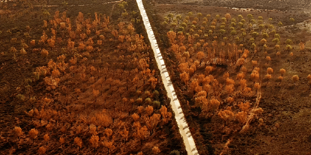 「渔府盛宴」湖畔寻味餐厅设计丨中国榆林丨江苏平衡艺术设计有限公司-63