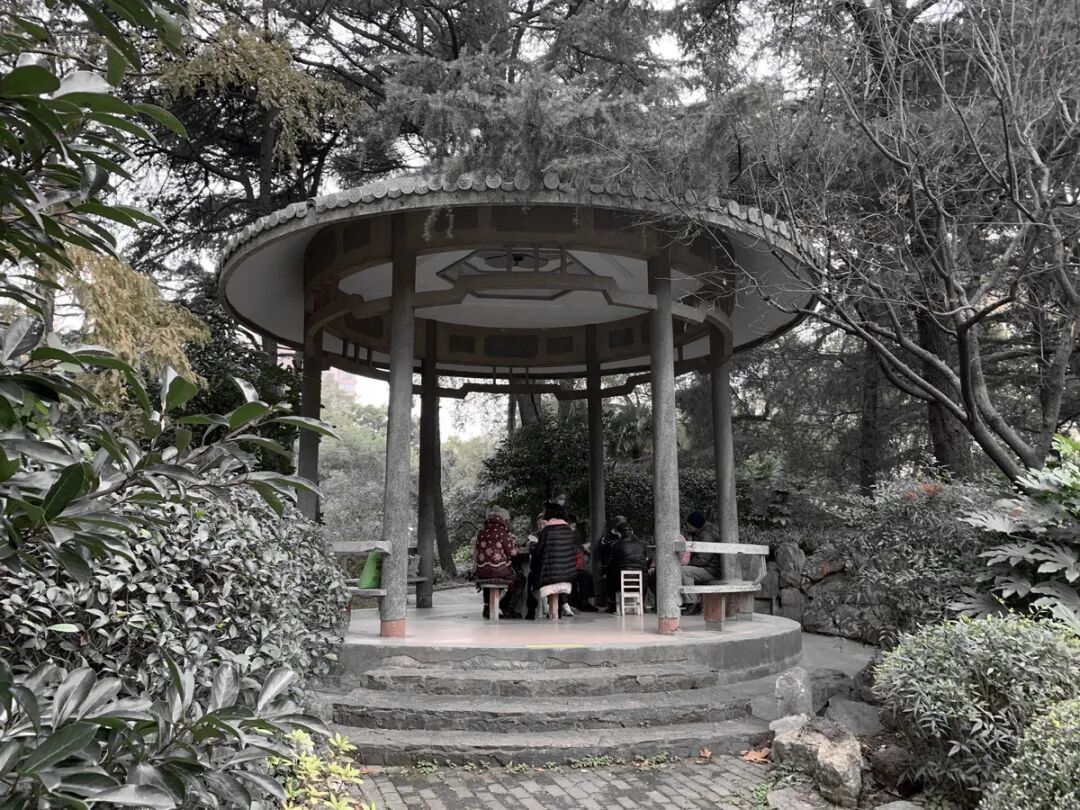 中国园林·理事专栏|“拓”之力量：杨浦公园改造纪实(三)-244