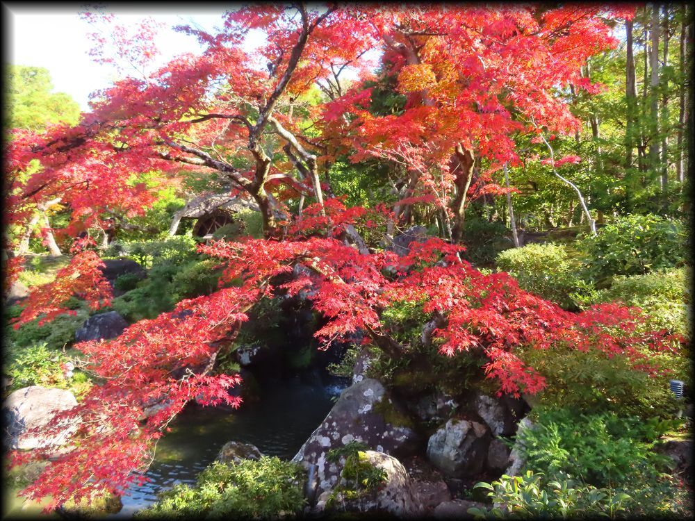 对龙山庄庭园丨日本京都丨七代目小川治兵衛-20
