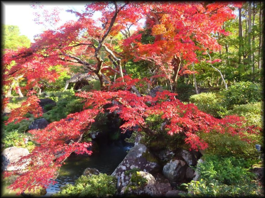 对龙山庄庭园丨日本京都丨七代目小川治兵衛-20