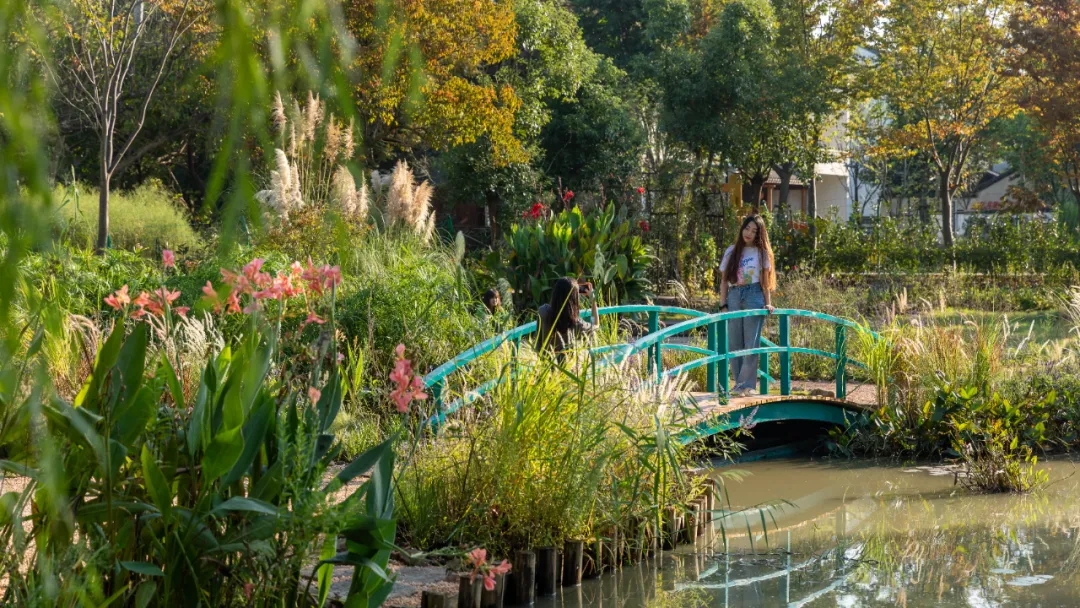 有MORE有YOUNG·新青年2021奥雅乡建营项目丨未明确提及具体设计团队-5