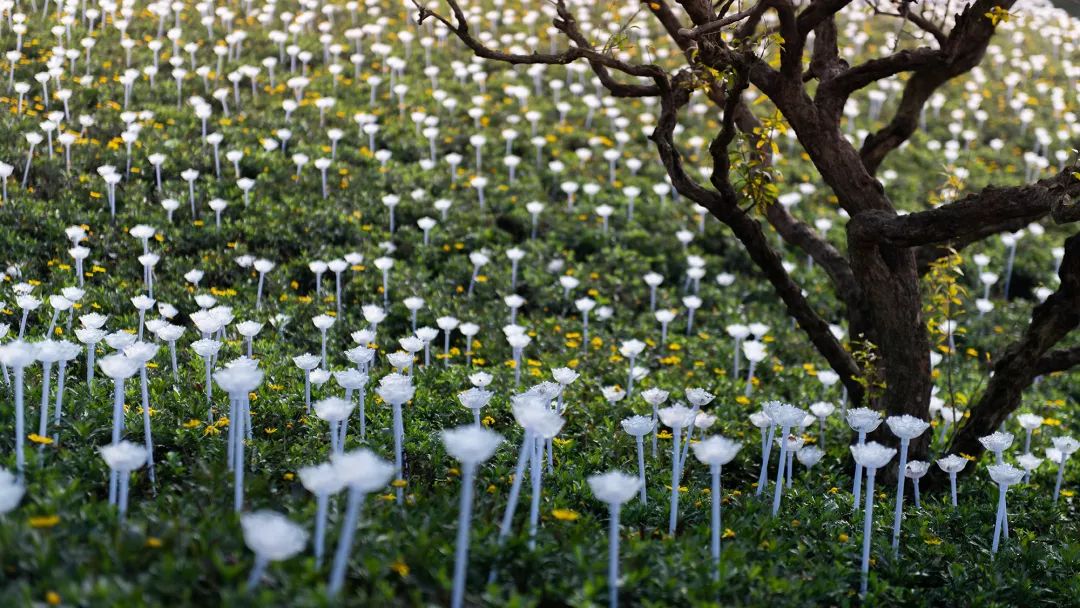 开放 开眼 开心| 绿地•万州城际空间站-45