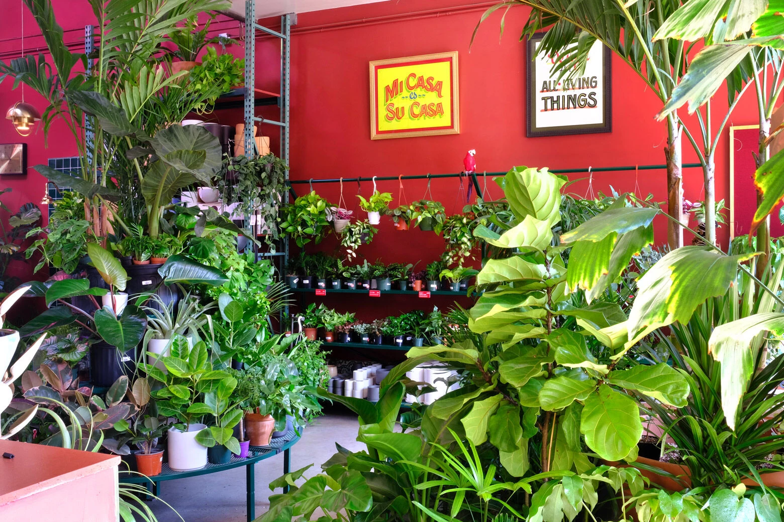 图拉植物与设计丨美国纽约-22