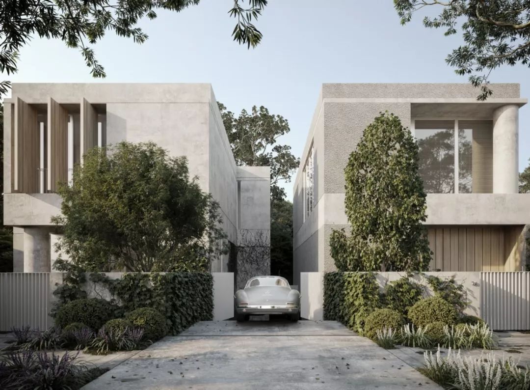 Davidov Architects | 住宅与公共概念的融合-17